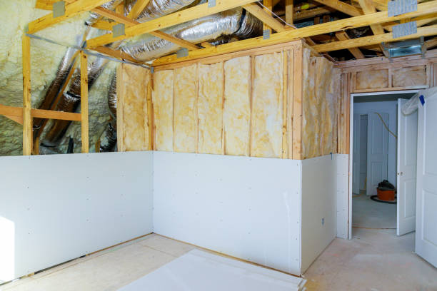 Best Specialized Insulation Services in Chula Vista, CA