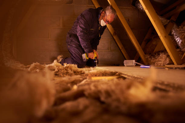 Types of Insulation We Offer in Chula Vista, CA